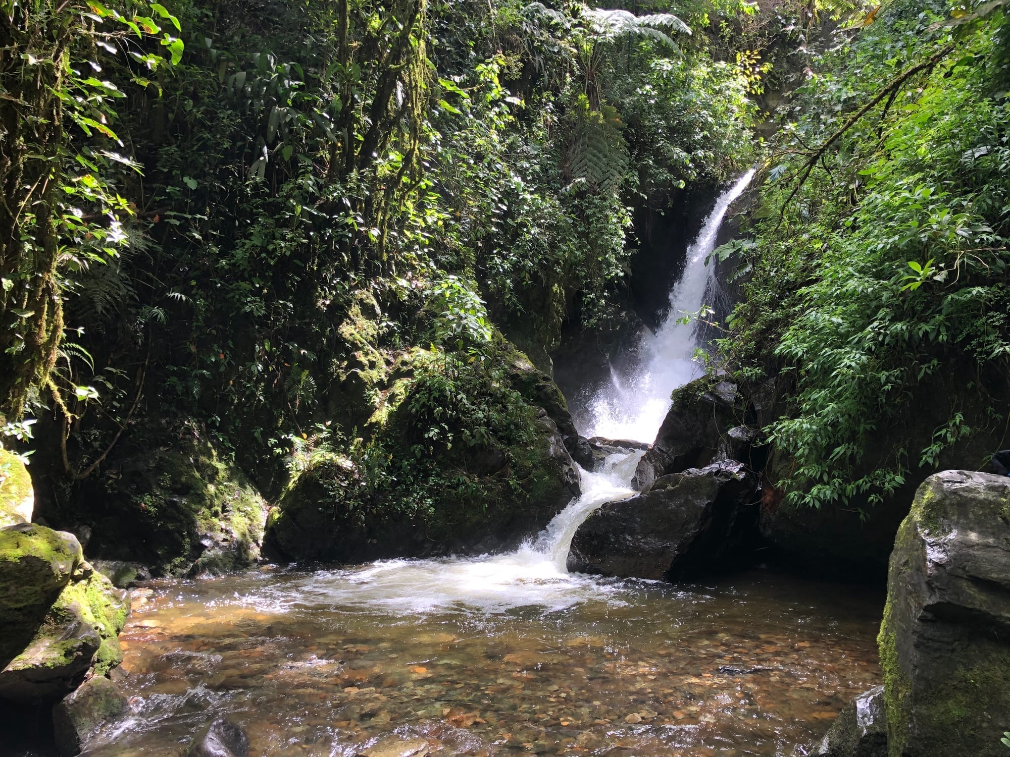 可可拉山谷 · 生态旅游